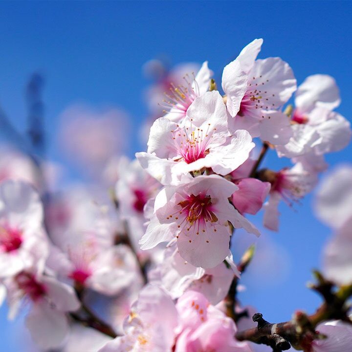 Frauen on Tour – Erfweiler