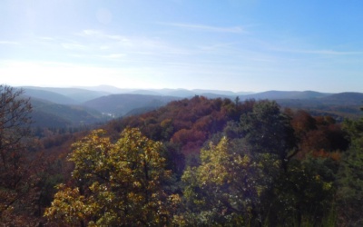 Wandermarathon Pfalz
