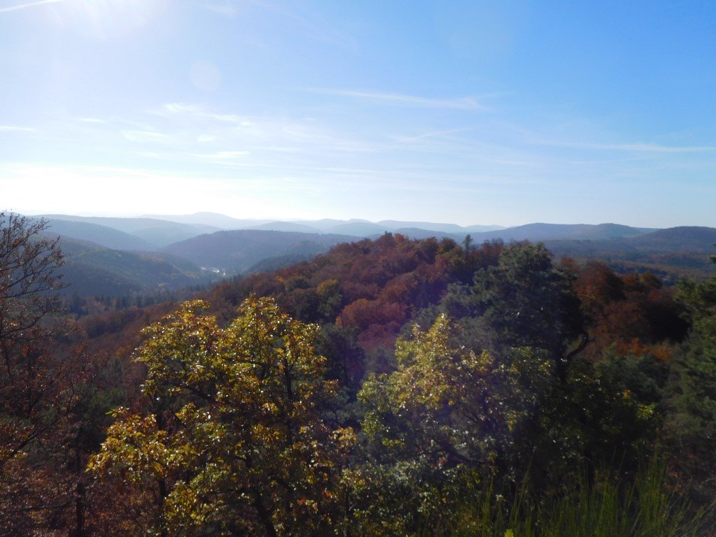 Wandermarathon Pfalz