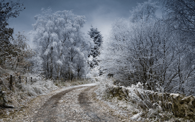 Winterschlaf oder Winteraktiv?