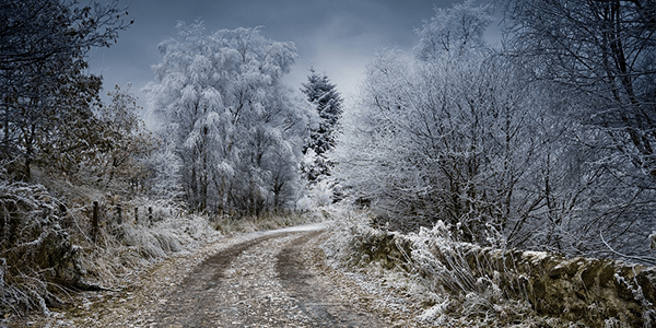 Winterschlaf oder Winteraktiv?
