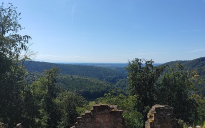 Frauen on Tour – Vogesen am 19.07.2020