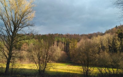 Bild d. Woche, 04. Dezember 2018