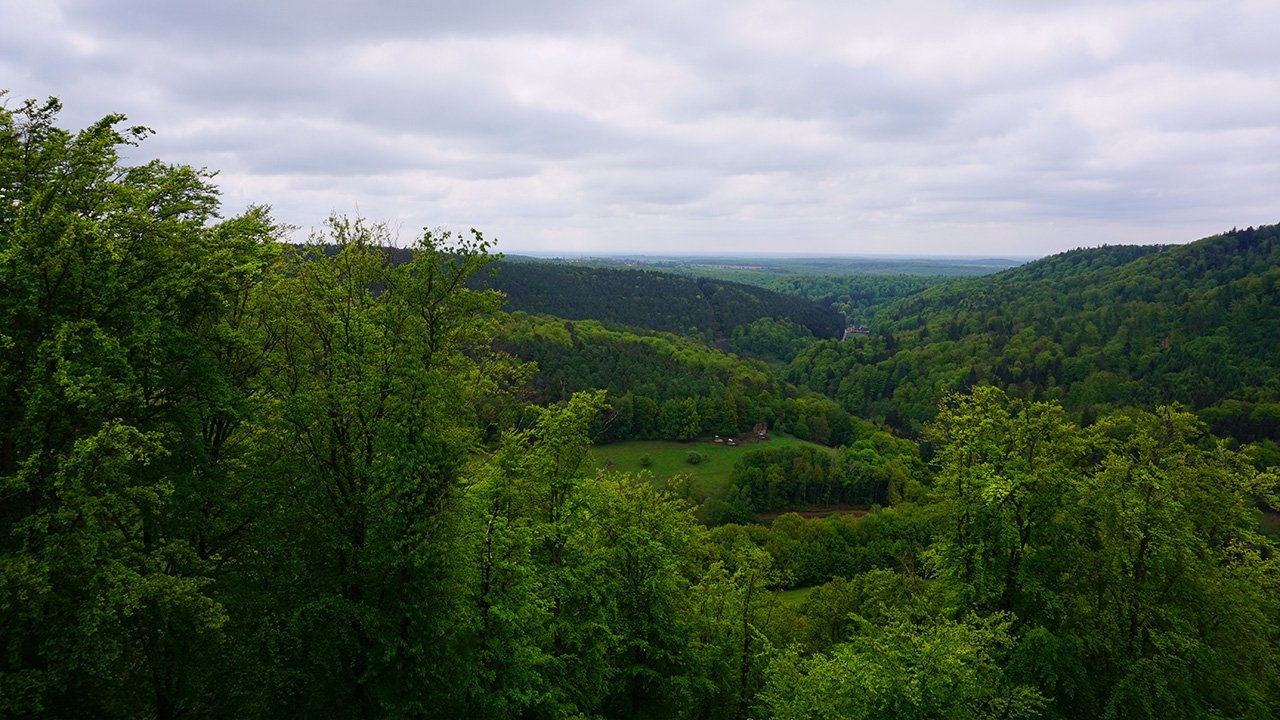Frauen on Tour – Vogesen am 12.05.2019