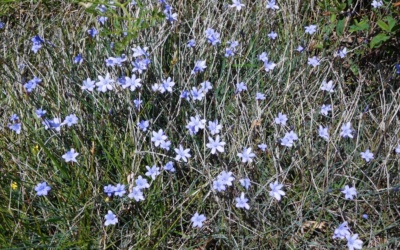 Verlassene Dörfer der Haute Provence