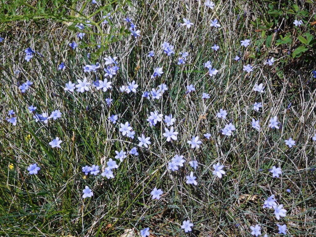 Verlassene Dörfer der Haute Provence
