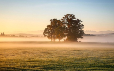 Herbstzeit