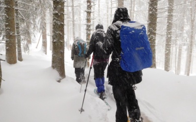 Auf Spurensuche im Schnee