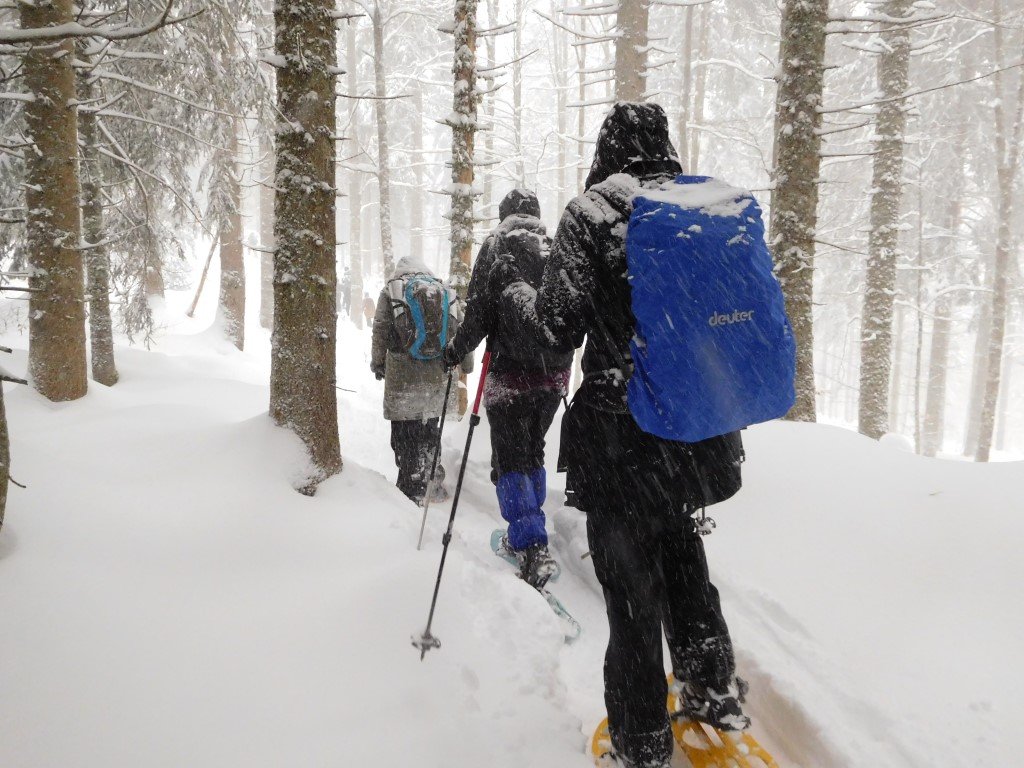 Auf Spurensuche im Schnee