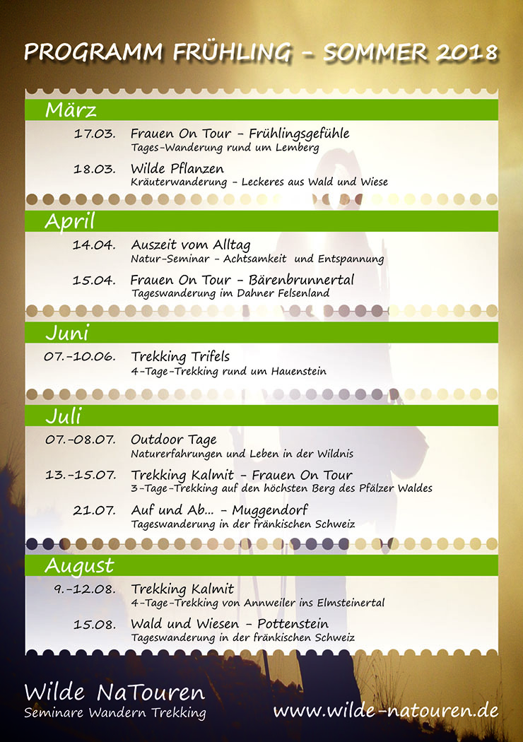 Programmflyer 2018