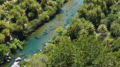 Palmen Preveli Beach