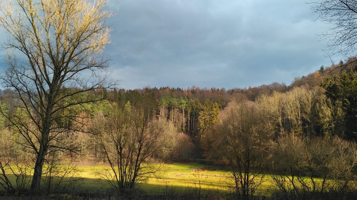 Regenpause