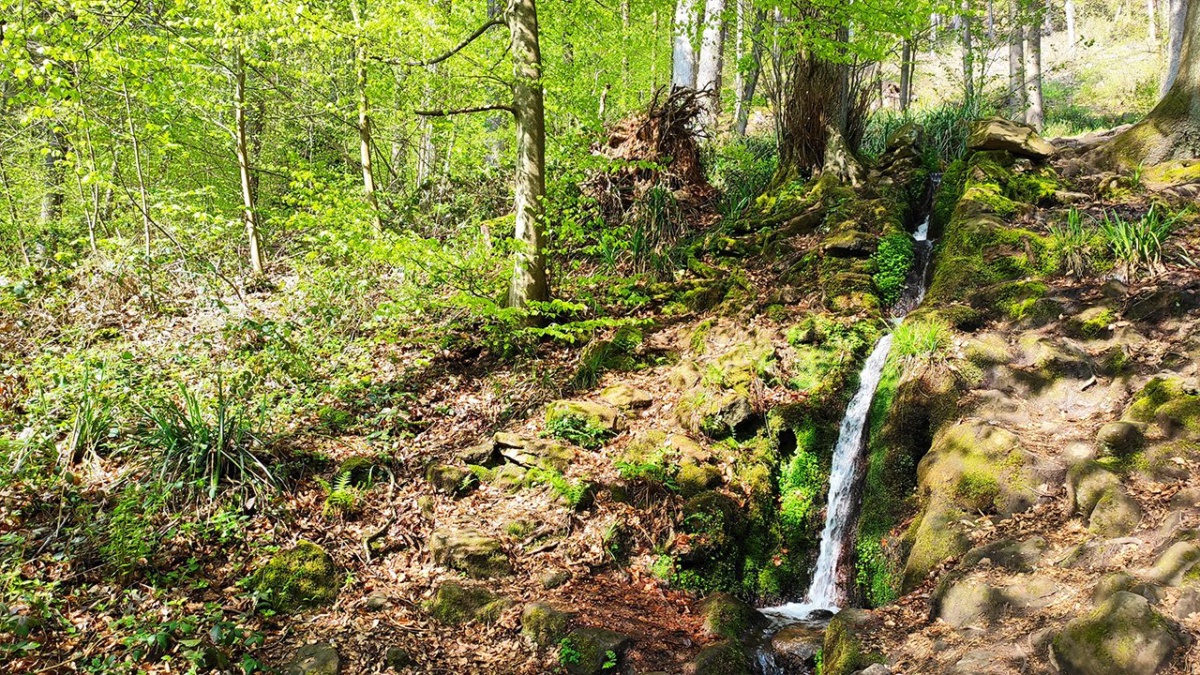 Hilsch Wasserfall