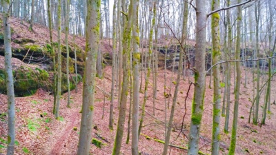 Pfälzer Wald