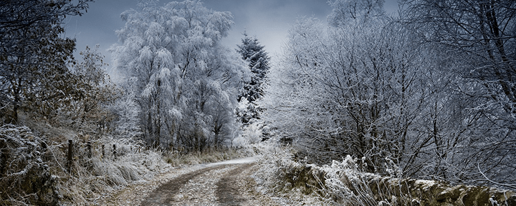 Winterweg