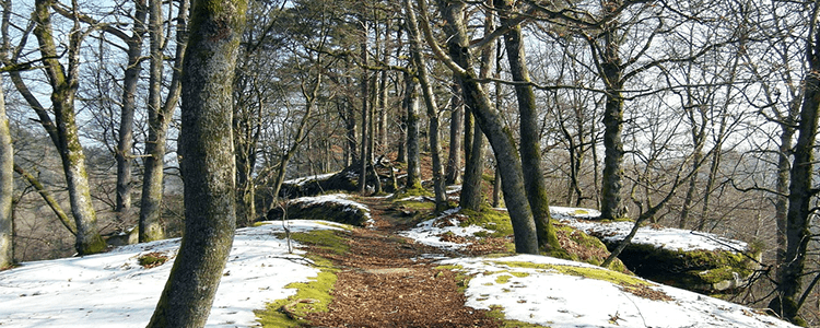 Winterweg