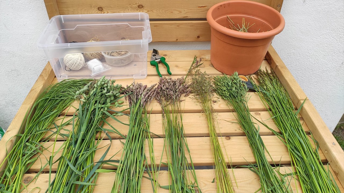 Wiesengräser sortiert