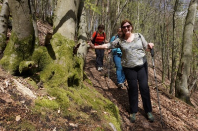 Frauengruppe Waldpfad