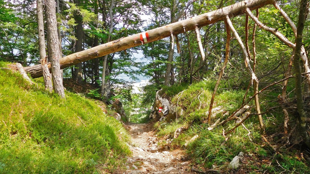 Wanderweg I Alpen