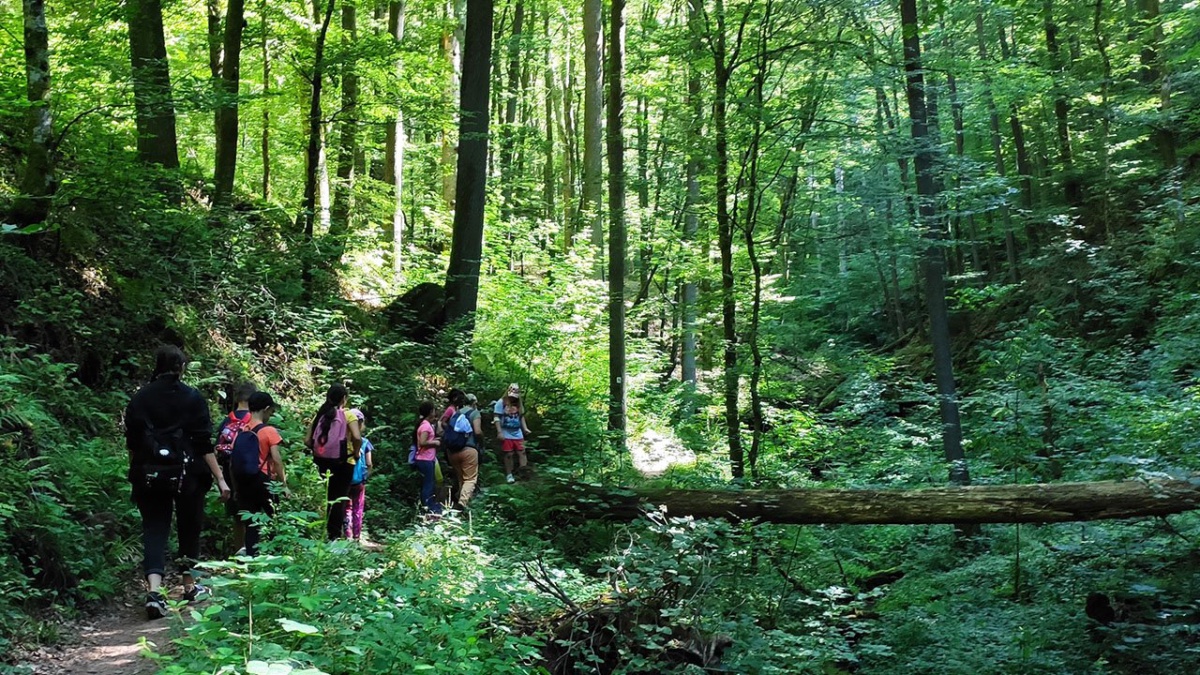 Wanderung