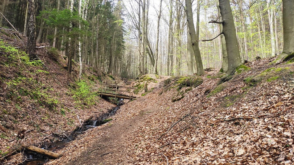 Weg zur Wolselquelle