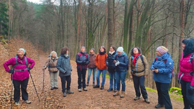 Gruppe von Frauen