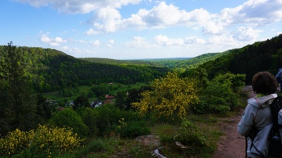 Blick über Windstein
