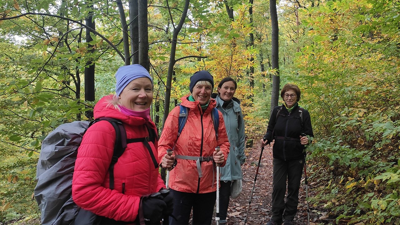 Vier lachende Frauen beim Herbstwandern im Wald mit Stöcken und Rucksäcken.