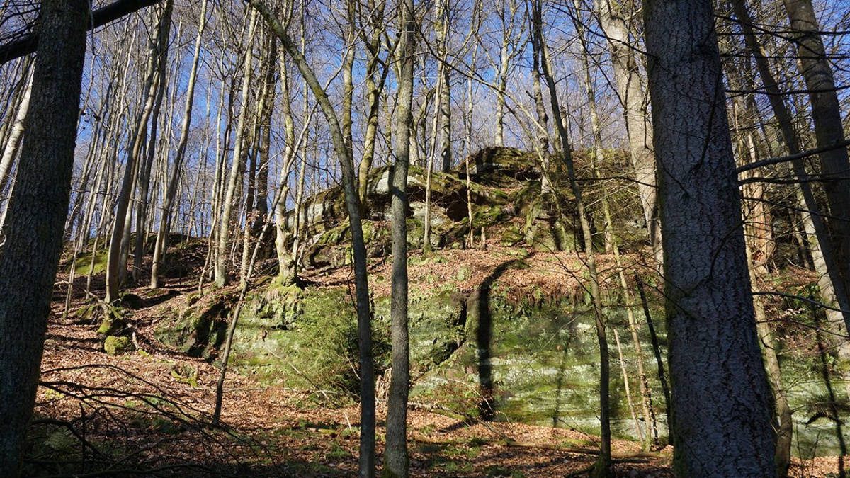 Felsenriff im Wald