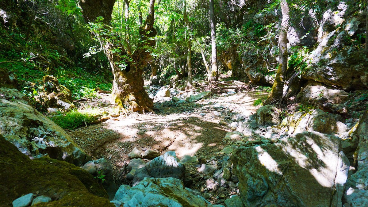 Poros Schlucht